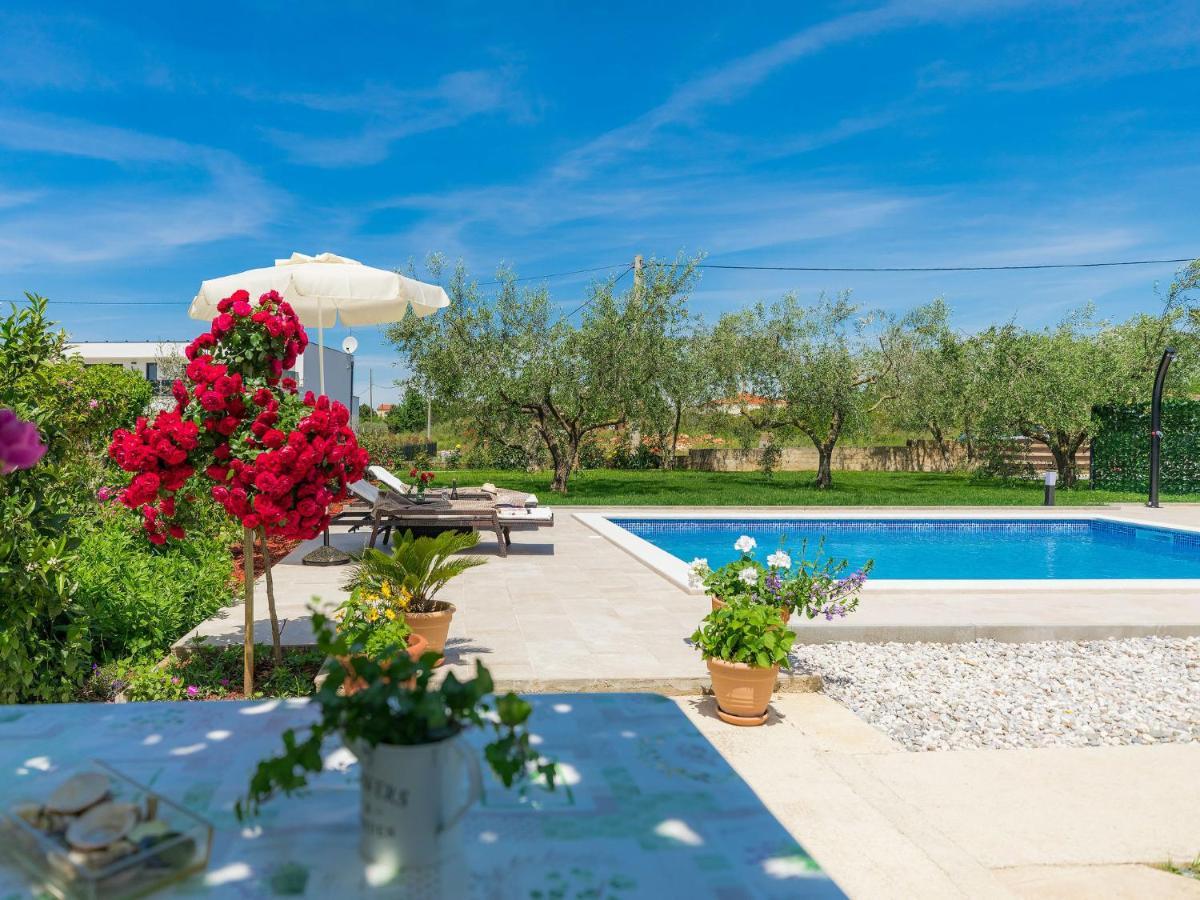 Apartment Chiara By Interhome Novigrad  Bagian luar foto